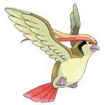 pidgeot pronunciation|Pokémon Pronounciation Guide .